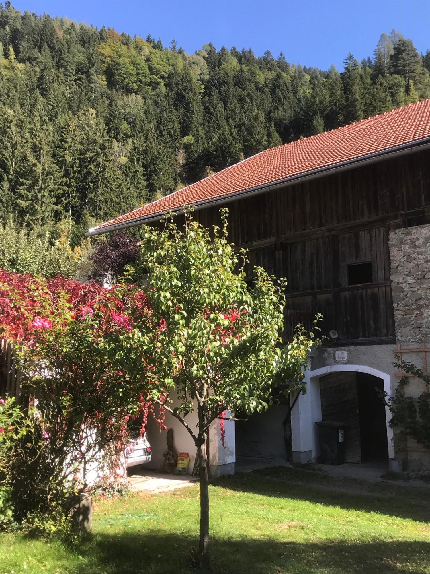 Gästehaus Steinerhof Nikolsdorf Exterior foto